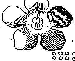 064/064340010101520_1.png