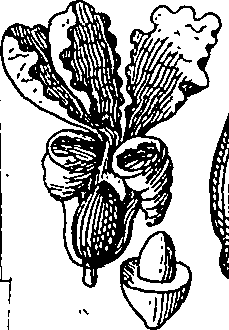 064/064340010101520_3.png