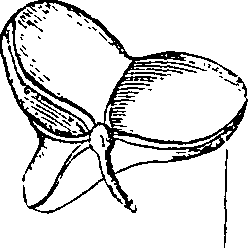 064/064340010101530_0.png