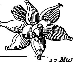 064/064340010101530_3.png
