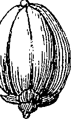 064/064340010101530_4.png