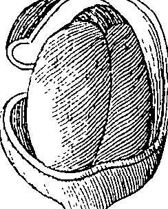 064/064340010101530_5.png