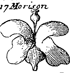 064/064340010101530_6.png