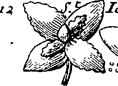 064/064340010101530_7.png