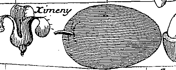 064/064340010101530_8.png