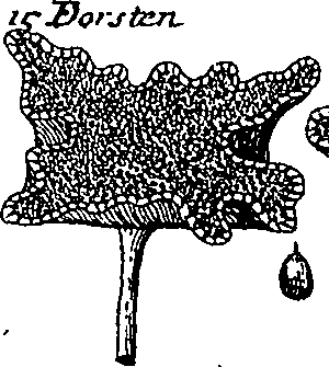 064/064340010101540_1.png