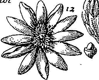 064/064340010101540_2.png