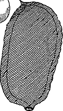 064/064340010101540_4.png