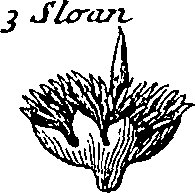 064/064340010101540_5.png