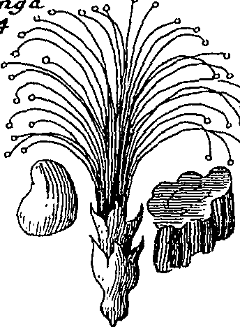 064/064340010101540_6.png