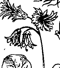 064/064340010101550_3.png