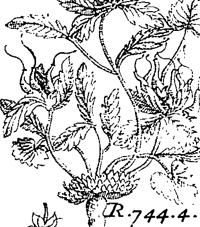 064/064340010101570_3.png