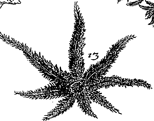 064/064340010101580_0.png