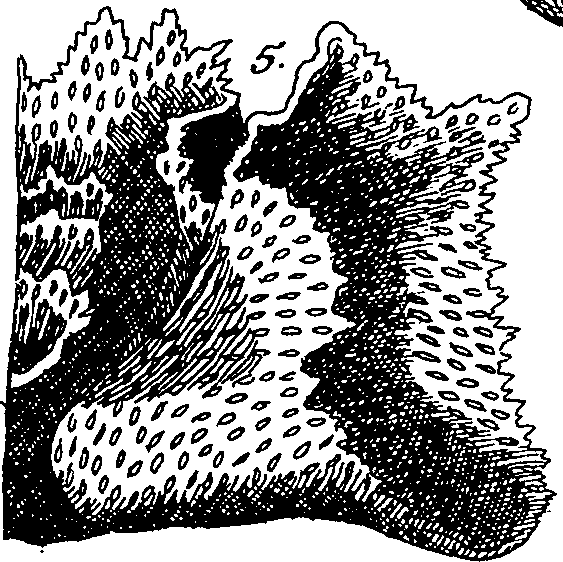 064/064340010101590_1.png