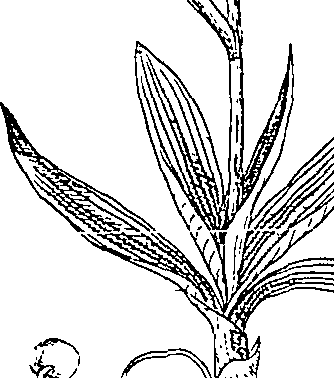 064/064340010101600_0.png