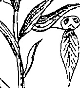 064/064340010101600_1.png