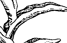 064/064340010101600_2.png