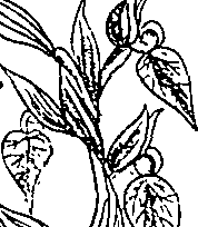 064/064340010101600_3.png