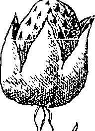 064/064340010101610_0.png
