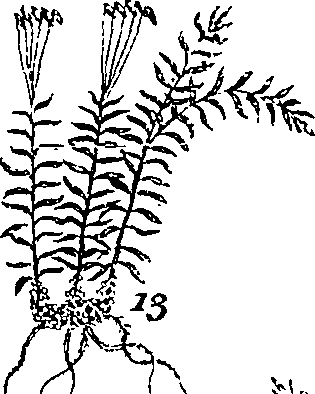 064/064340010101610_1.png