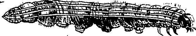 064/064340010101770_1.png