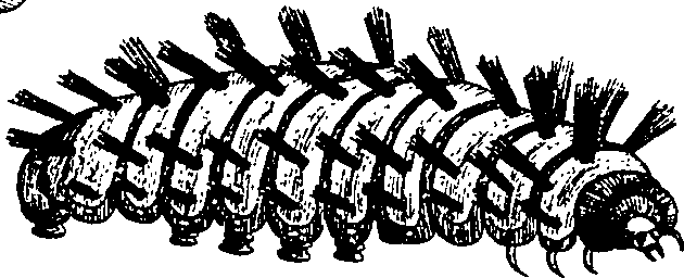 064/064340010101790_3.png
