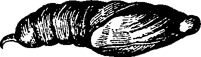 064/064340010101790_4.png