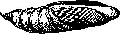 064/064340010101790_5.png