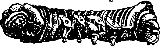 064/064340010101790_6.png