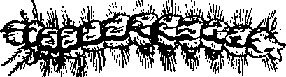 064/064340010101800_0.png