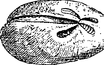 064/064340010101830_0.png