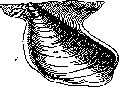 064/064340010101840_3.png