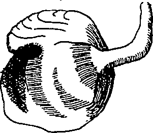 064/064340010101840_4.png