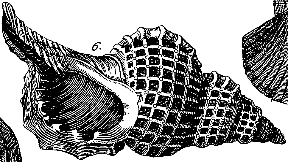 064/064340010101850_0.png