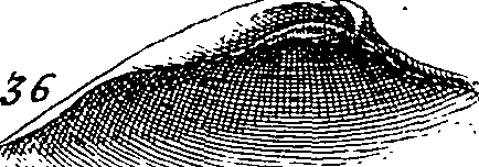 064/064340010101880_0.png