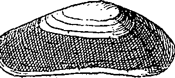 064/064340010101880_1.png