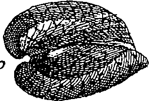 064/064340010101880_2.png