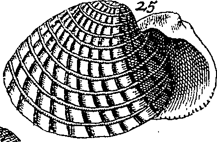 064/064340010101880_3.png