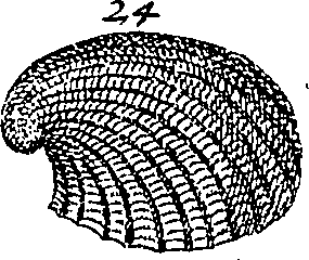 064/064340010101880_4.png