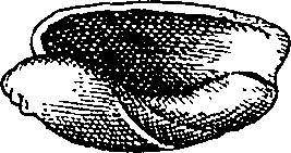 064/064340010101880_5.png
