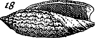 064/064340010101880_6.png