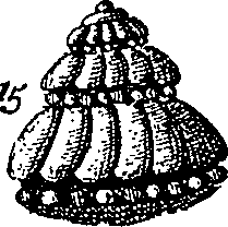 064/064340010101880_7.png