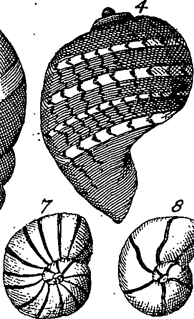 064/064340010101880_8.png