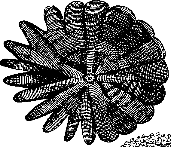064/064340010101930_1.png