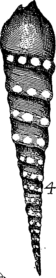 064/064340010101940_1.png