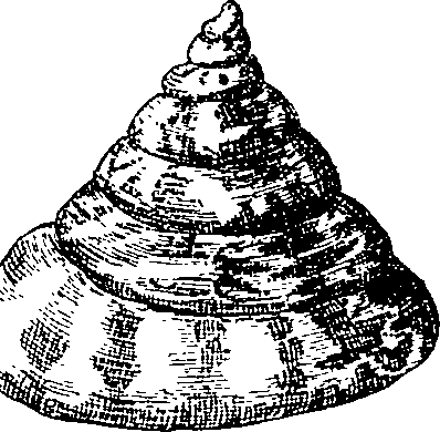 064/064340010101950_0.png