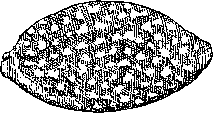 064/064340010101950_1.png