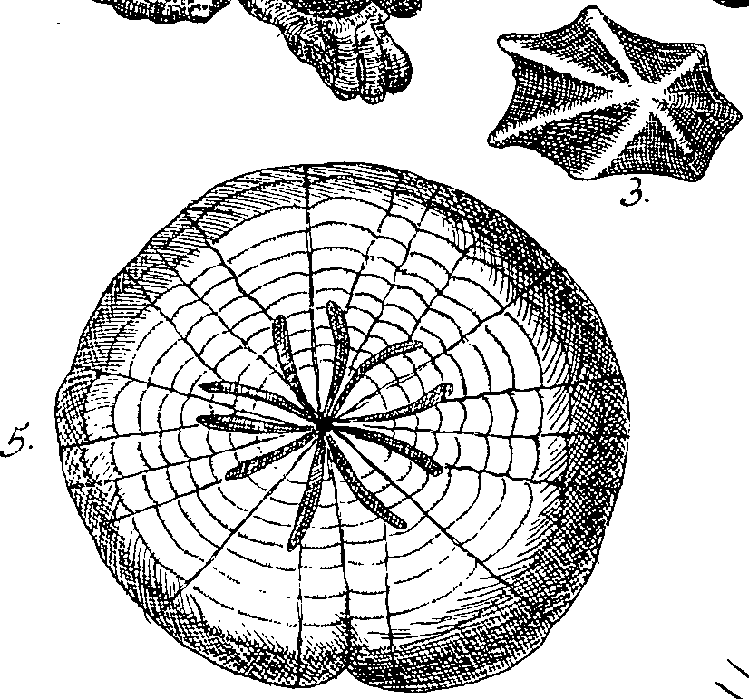 064/064340010101950_3.png