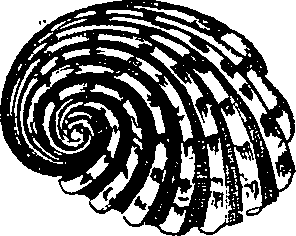 064/064340010101970_0.png