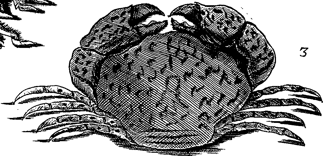 064/064340010101980_1.png
